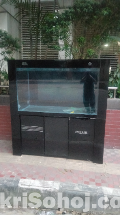 Fish aquarium